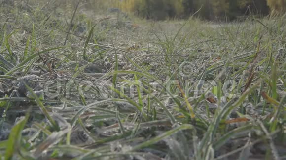 草地上的冰雪特写视频的预览图
