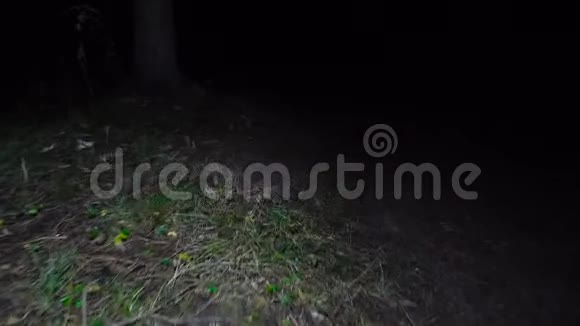 夜间行走的录像视频的预览图