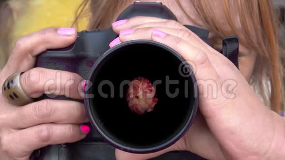 女摄影师拍摄一朵盛开的花视频的预览图
