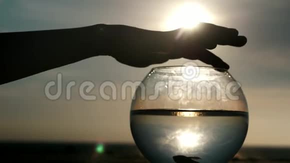 剪影身体部分手温柔地触摸手指圆形鱼缸日落时海洋背景上的鱼视频的预览图