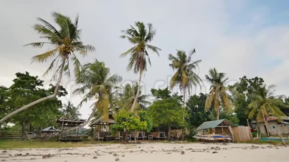 菲律宾村庄有棕榈树海滩博霍尔岛菲律宾视频的预览图