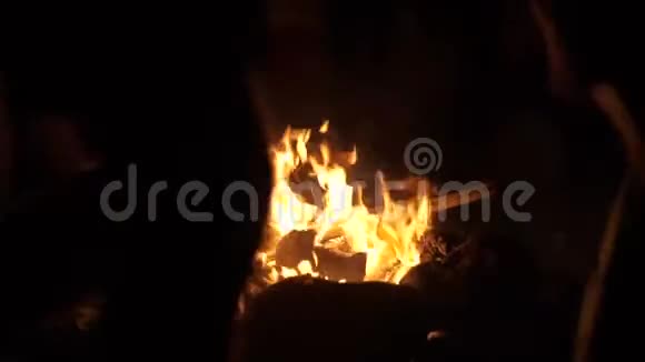 狂野疯狂的部落嬉皮士瑜伽舞者围着燃烧的篝火视频的预览图