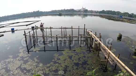 船夫用竹筏横渡污染的湖鱼圈视频的预览图