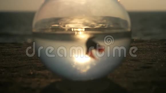 日落时分一条小鱼的剪影在海边的圆形鱼缸里游来游去环绕空间的慢运动概念视频的预览图