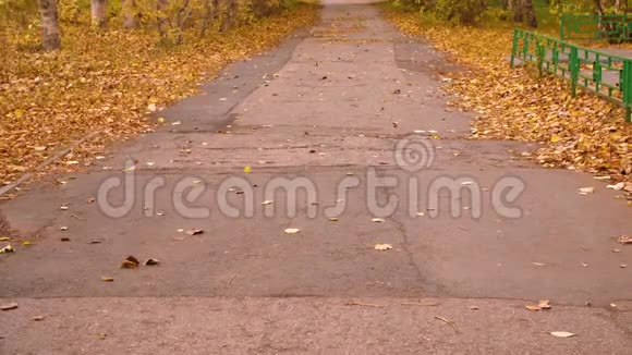风吹落公园空沥青路上的秋叶视频的预览图