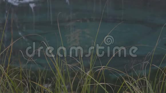 在秋秋时节绿草蓝湖的背景下视频的预览图