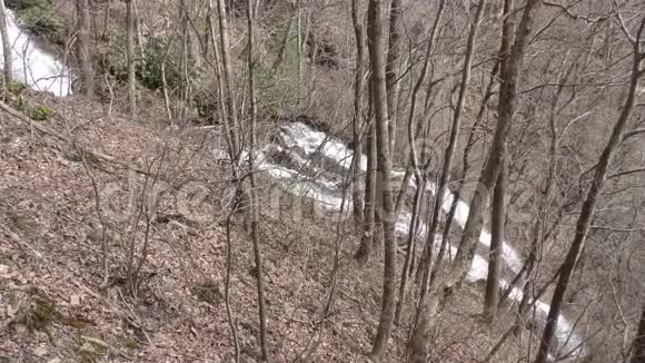 佐治亚州阿莫科拉瀑布阿莫科拉瀑布下半部分通过树木的侧面景色视频的预览图