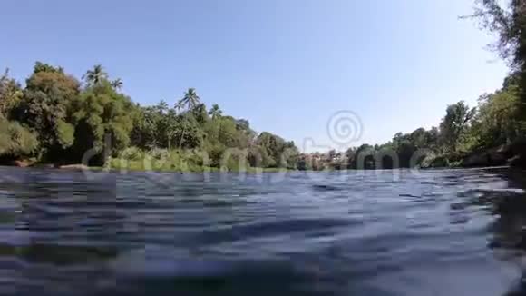 喀拉拉邦蓝天和树木的河岸视频的预览图