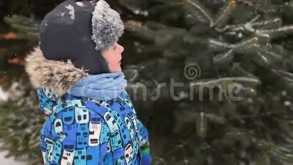 可爱的小男孩穿着冬天的衣服戴着一顶帽子背景是雪和圣诞树视频的预览图