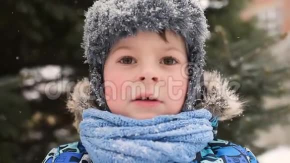 可爱的小男孩穿着冬天的衣服戴着一顶帽子背景是雪和圣诞树视频的预览图