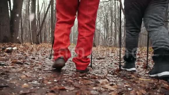 北欧人在秋季公园散步两位高级女士接受户外慢动作训练视频的预览图
