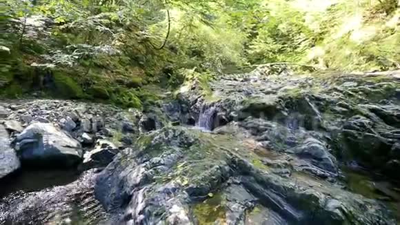 森林旅游小径上的瀑布和河流视频的预览图
