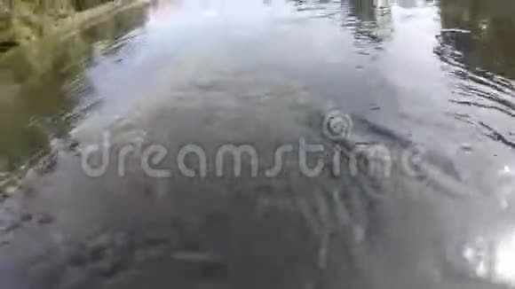 在喀拉拉河的水下绿色的苔藓在上面流动视频的预览图