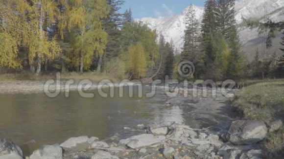 阿尔泰山上美丽的景色秋天的季节视频的预览图