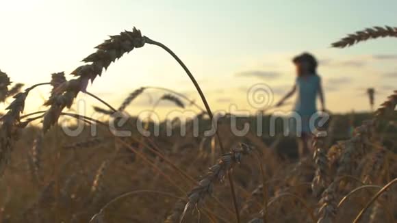 美丽的快乐女孩戴着草帽穿着裙子在夕阳下的麦田里跳舞视频的预览图