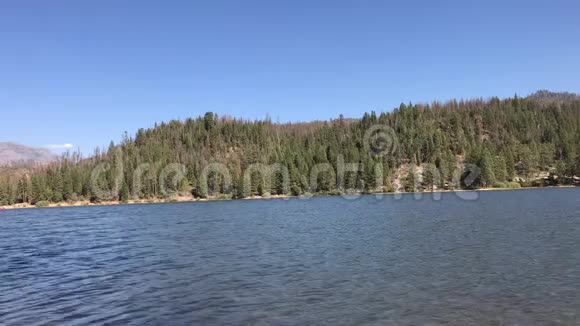 湖风林乡村景观自然背景视频的预览图