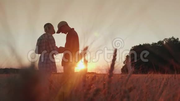 农户在麦地干活沟通看片田野上美丽的日落视频的预览图