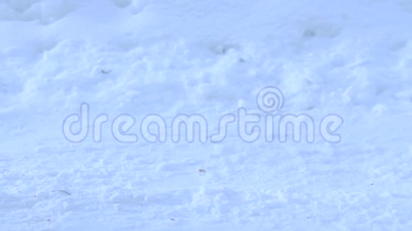 一杯水在雪地上落下溅起视频的预览图