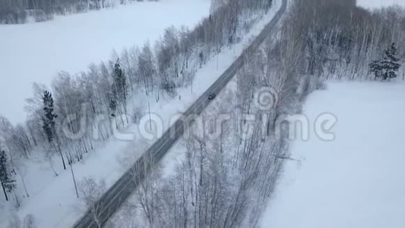 林中灰色汽车行驶道路的鸟瞰图视频的预览图