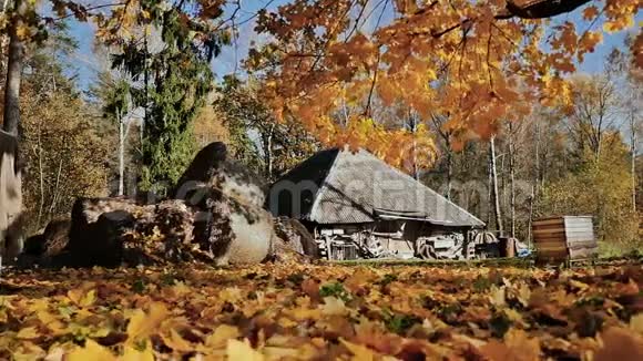 秋天的乡村景观谷仓附近的稻草阳光下的黄叶用电子方式进行射击视频的预览图