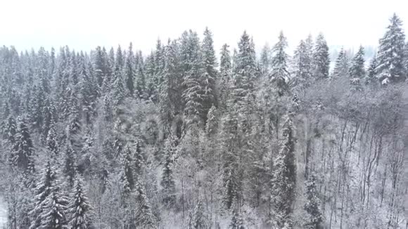 波兰南部一个白雪皑皑的冬季风景的长空空中片段塔特拉山视频的预览图