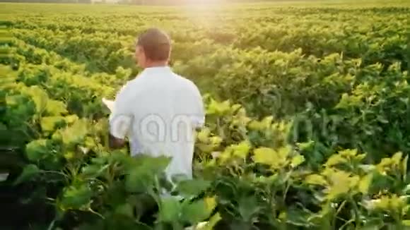 斯坦迪卡姆拍摄农民在日落前的傍晚在田里工作享受一片碑后视图视频的预览图