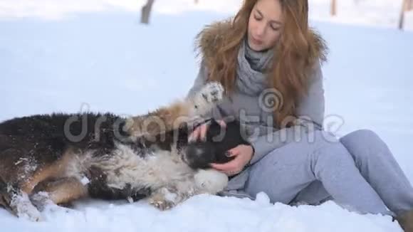 女孩在雪地里和一只狗玩视频的预览图