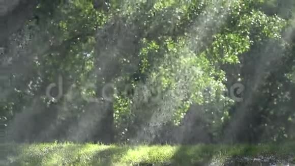 把水滴溅到公园的阳光浇草上视频的预览图