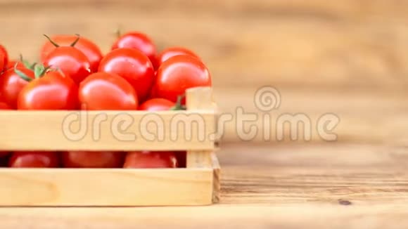 小盒子的番茄视频的预览图