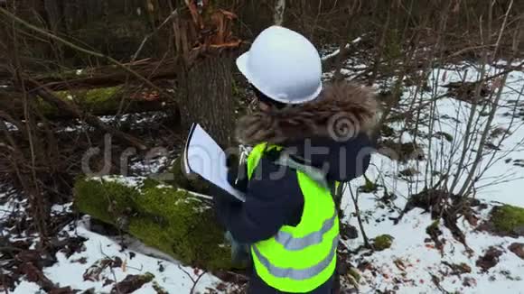 女林业员工检查破树视频的预览图