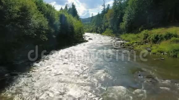 美丽的山河穿过松林视频的预览图