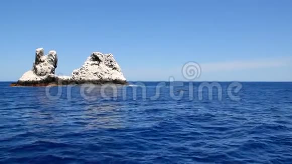 鲸鱼从太平洋岩石旁边的水下潜水视频的预览图