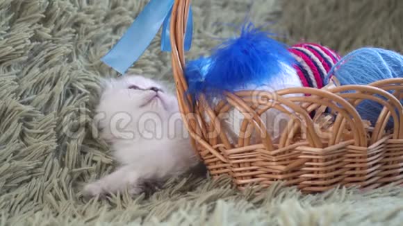 一只可爱的小白猫躺在篮子附近篮子里装满了毛线球视频的预览图