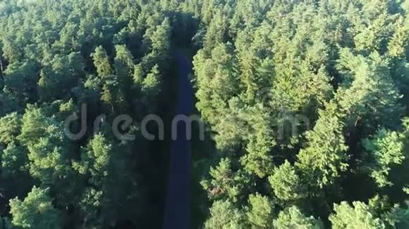 在道路和森林之上飞行视频的预览图