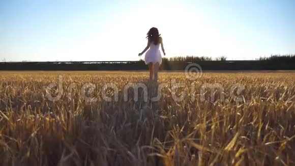 跟随年轻女孩沿着田野奔跑背景是太阳耀斑穿裙子的女人在草地上慢跑视频的预览图