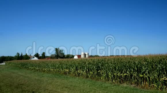 美国乡村农场种植玉米种植蓝天视频的预览图