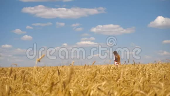 一个长发少女走在麦田里视频的预览图