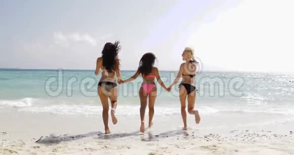 比基尼女郎挽着双手在沙滩后景中奔跑欢乐的女性团体游客在夏日度假视频的预览图