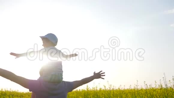 一家人背着背光举手在草地上玩耍儿子坐在肩上父亲在阳光明媚的草地上快乐的爸爸视频的预览图