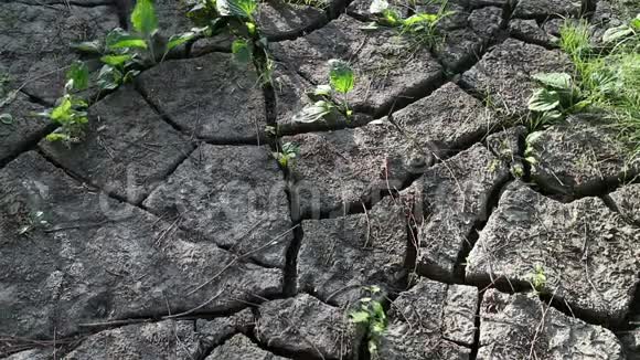 受干旱影响的地面视频的预览图