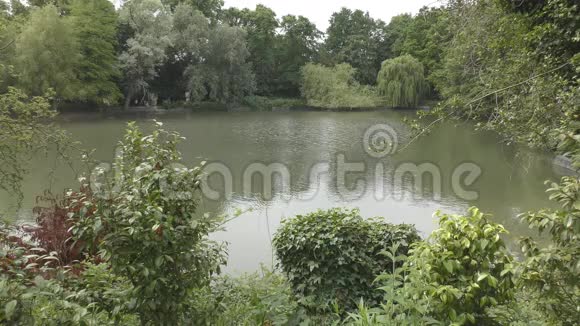 公园里的湖景视频的预览图