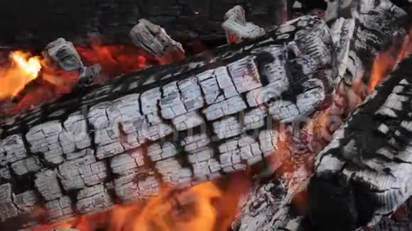 燃烧木头和木柴的热煤在篝火中燃烧着烟雾和火焰视频的预览图