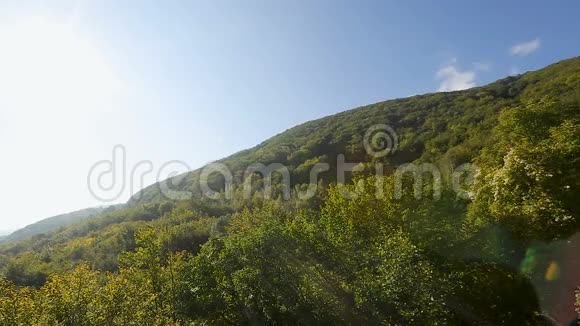 阳光明媚的一天山坡覆盖着茂密的森林徒步旅游全景视频的预览图