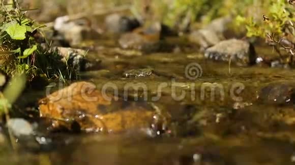 细小的小溪从石头上流下来水是干净的自然是不受影响的视频的预览图