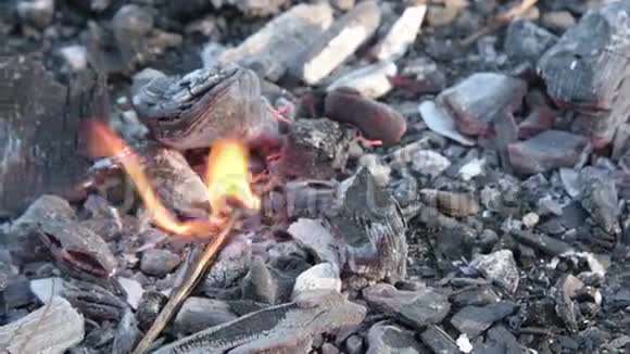 在火里死去的煤视频的预览图