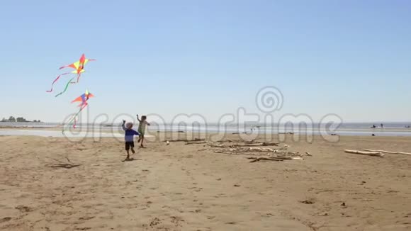 快乐的小男孩玩得开心在海滩上放风筝视频的预览图