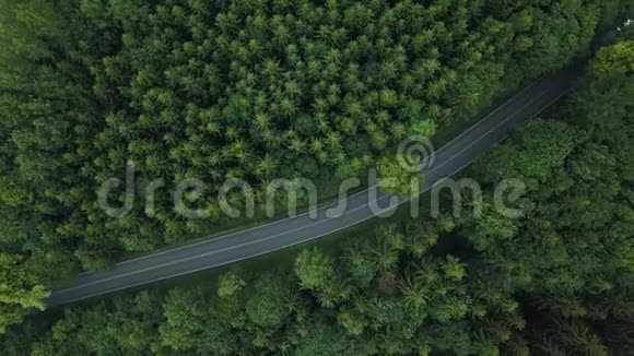 汽车在德国的森林里公路上行驶顶部视图视频的预览图