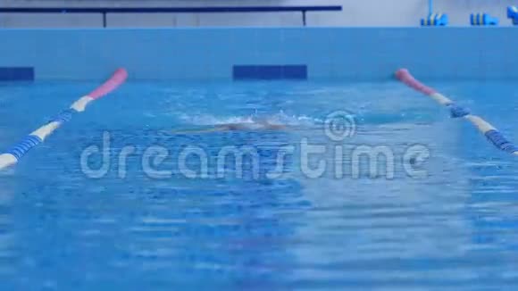少女游泳者在游泳池游泳视频的预览图