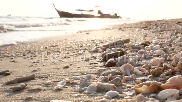 海水在金色的沙滩上流动贝壳和珊瑚碎片在金色的沙滩上堆积阳光和剪影的渔船视频的预览图