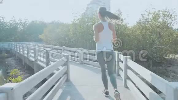 年轻女子在红树林森林小径上慢跑斯塔迪加姆射击后视视频的预览图